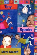 Tiny Sparks (Booklet And CD Pack) - Steve Grocott